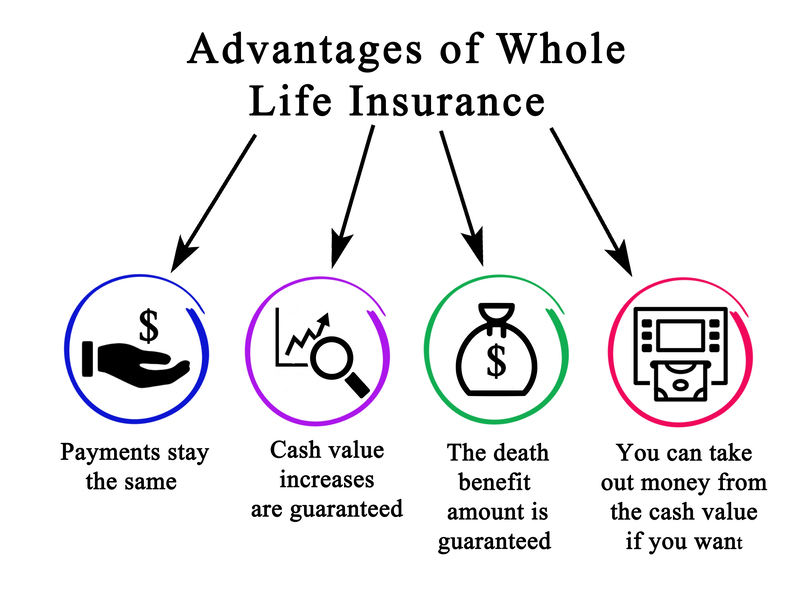 Gainesville Life Insurance Experts business image in Gainesville, Georgia